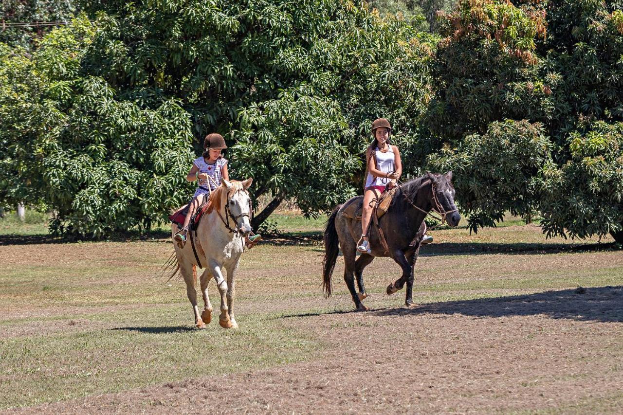Santa Eliza Eco Resort Ribeirão Bonito Zewnętrze zdjęcie